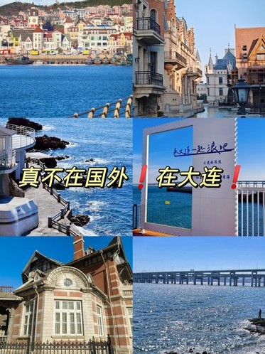 海鸥聊天下载-通知设置